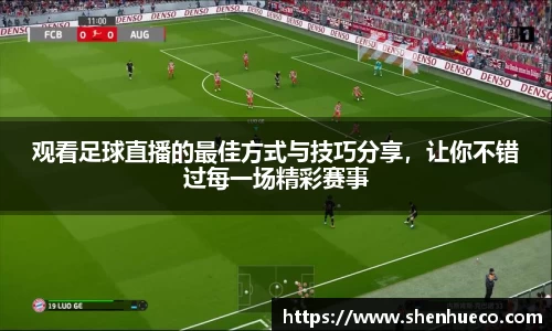 观看足球直播的最佳方式与技巧分享，让你不错过每一场精彩赛事