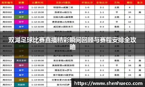 双湖足球比赛直播精彩瞬间回顾与赛程安排全攻略