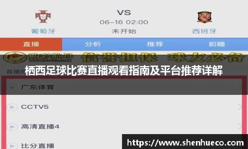 栖西足球比赛直播观看指南及平台推荐详解