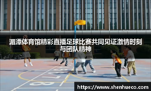 湄潭体育馆精彩直播足球比赛共同见证激情时刻与团队精神